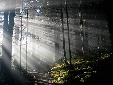 the-eternity-of-morning_src_1[1]